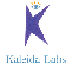 Kaleida-Logo2.gif